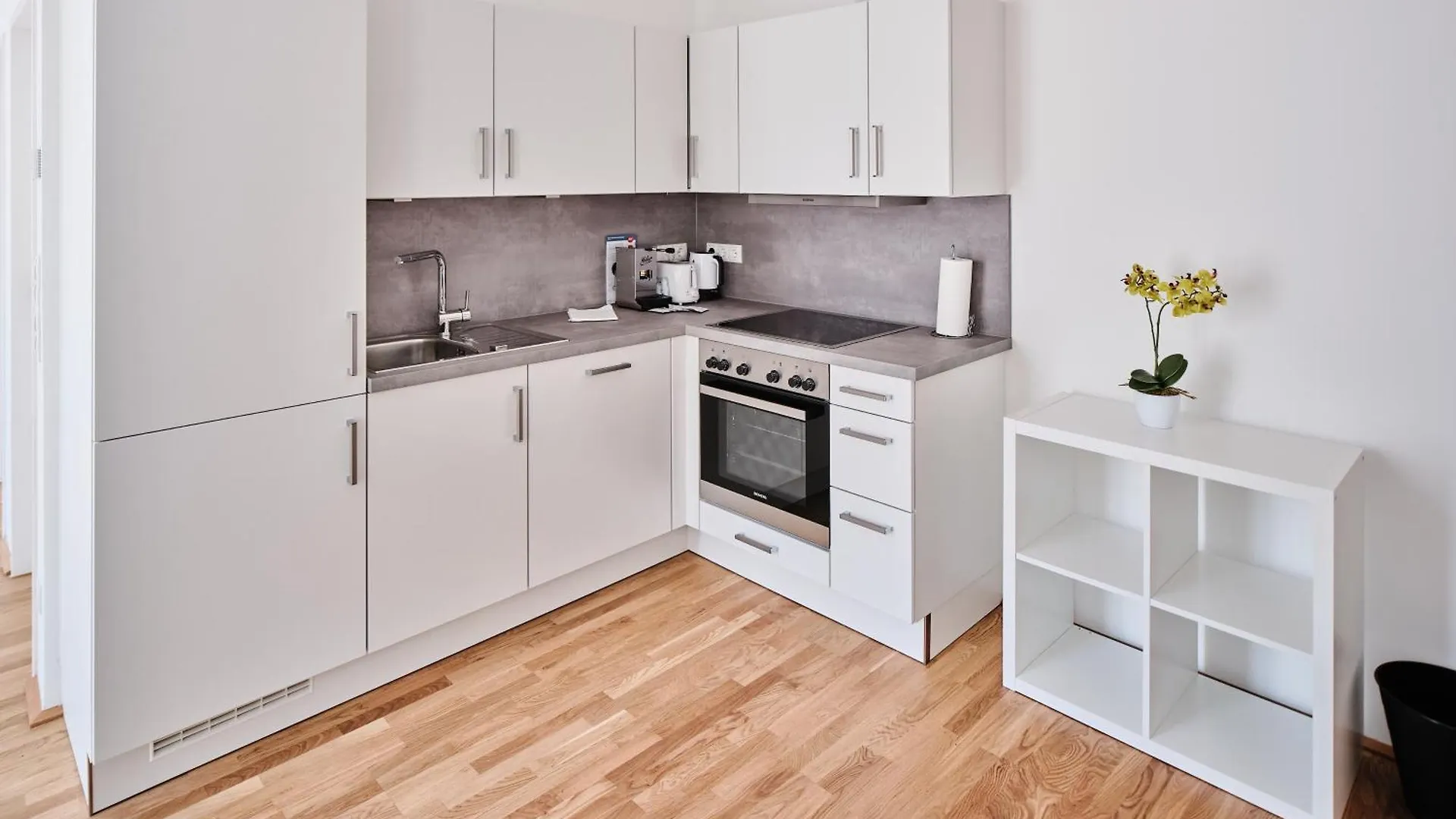Next To Schoenbrunnpalace Close To Public Transport - Myschoenbrunn Apartments Viena